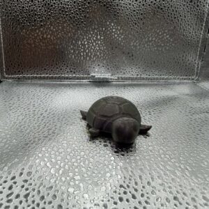 skildpadde